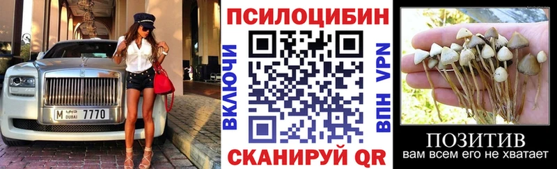 купить наркоту  Мензелинск  Псилоцибиновые грибы Cubensis 